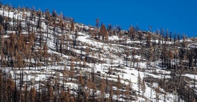 圣何塞州大学生21岁滑雪教练太浩湖不幸罹难（图）
