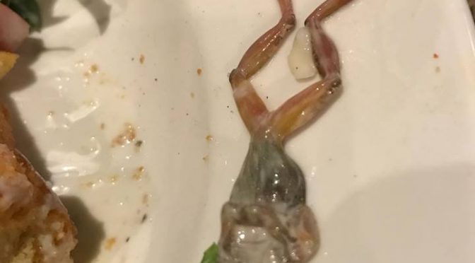 加州一女顾客投诉餐厅沙拉里现青蛙 后再不想吃东西（图）