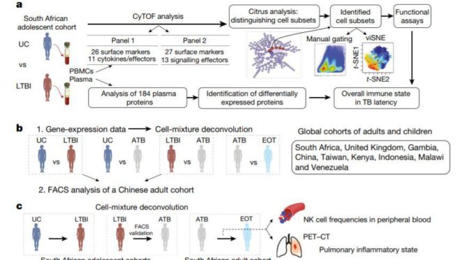 药明康德头条：厉害了！今日【Nature】发表4篇华人研究（图）