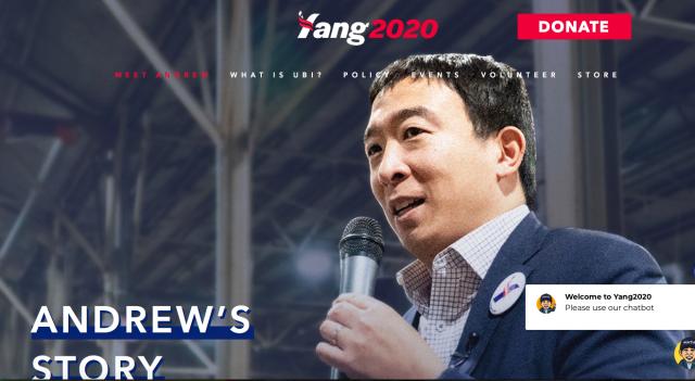 美总统大选现“中国脸”，支持率跃升，声称可以击败特朗普 （图）