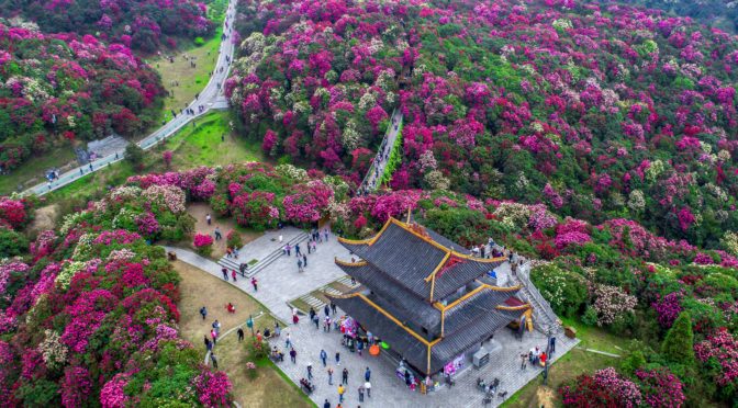 贵州：乡村旅游持续升温 带旺乡村带富村民（图）