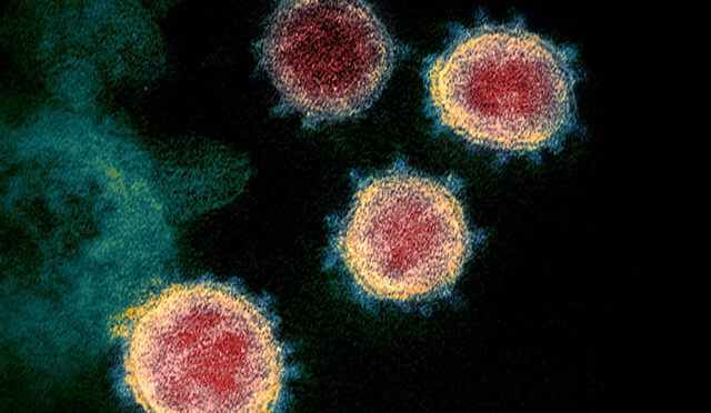 世卫组织：新冠病毒仍然致命并未减弱毒性(图）