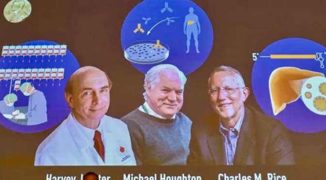 美英叁科学家因发现丙型肝炎病毒获得诺贝尔生理学或医学奖