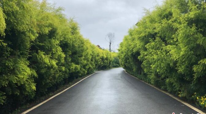 重庆铜梁：60公里绿道串起原乡发展新风景（图）