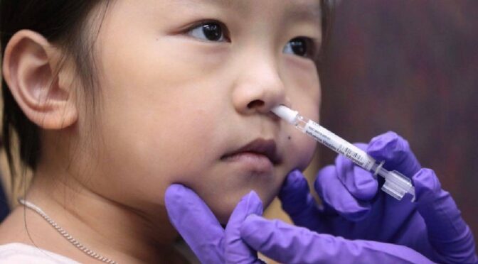 泰国鼻喷疫苗拟年底进入临床试验（图）