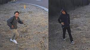 警方寻众协助通缉两名破坏公共财产的男子（图）