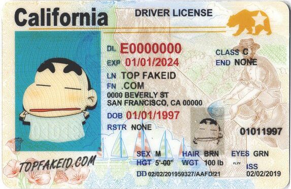 加州提案: 要求向任何无证移民发放加州身份证（图）